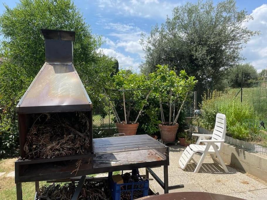 La Dimora Delle Rose Daire Passignano sul Trasimeno Dış mekan fotoğraf