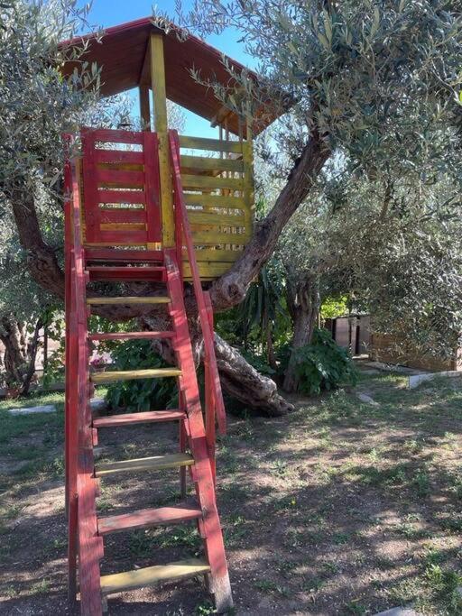 La Dimora Delle Rose Daire Passignano sul Trasimeno Dış mekan fotoğraf